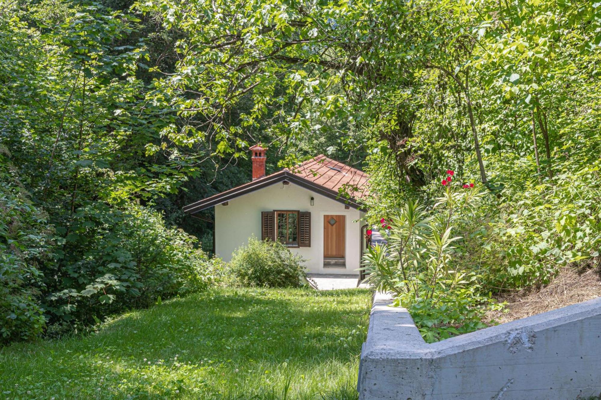 House By The Stream - Happy Rentals Avce Exterior foto